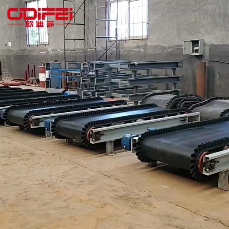 feed belt conveyor (3)